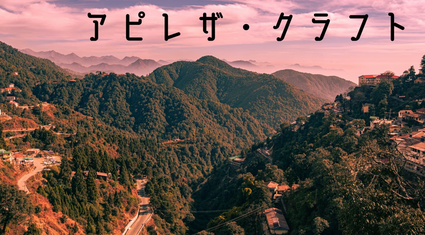 アピレザ・クラフト